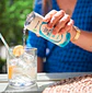 GUTsy Captain Kombucha Original lata 12x250ml - miniatura 1
