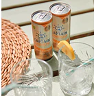 GUTsy Captain Kombucha gengibre e limão 12x250mL 1