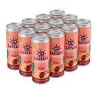 GUTsy Captain Kombucha Pêssego 12x250mL 2