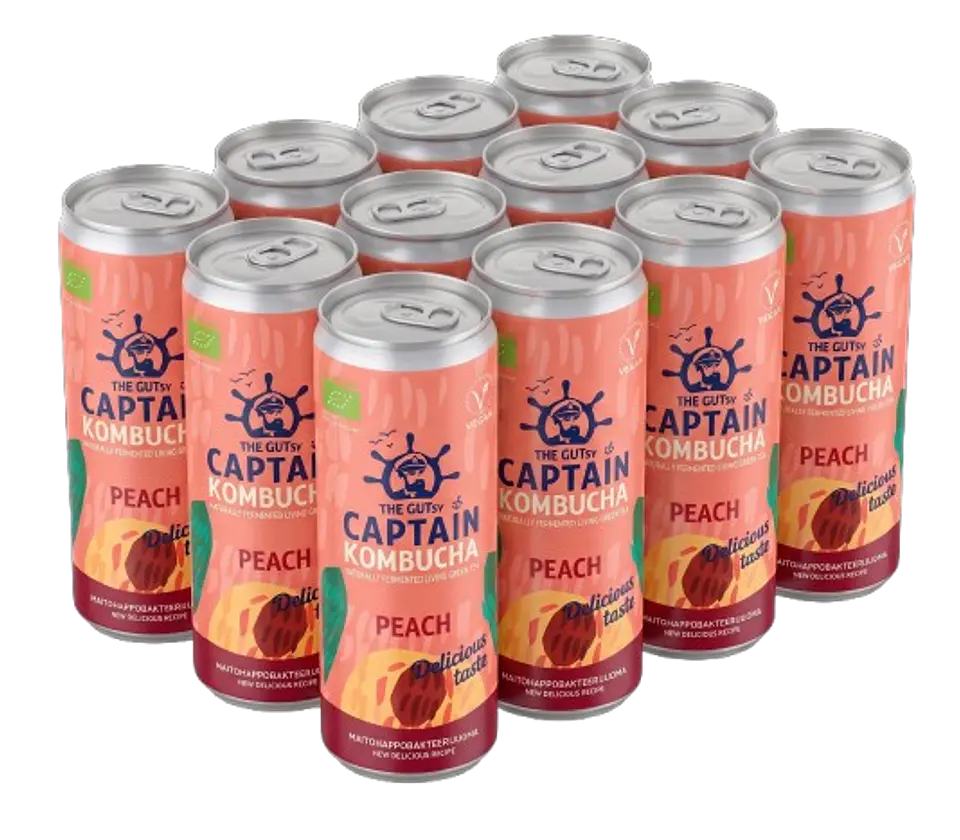 GUTsy Captain Kombucha Pêssego 12x250mL 2