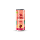 GUTsy Captain Kombucha Pêssego 12x250mL 3