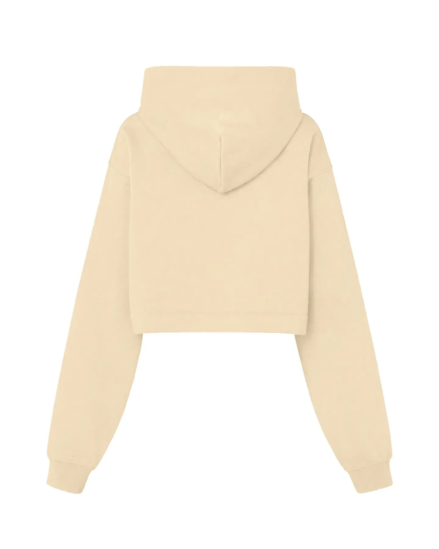 Sweatshirt Lady Cropped 19