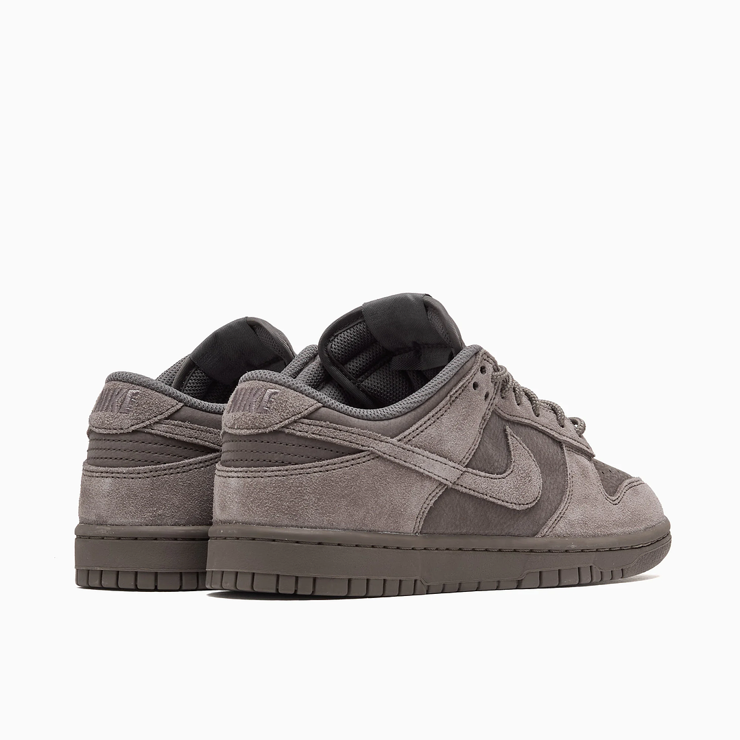 Nike Dunk Low Retro SE Cave Stone 4