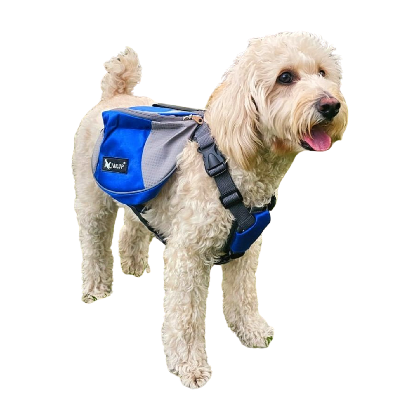 Mochila con Arnés para Perros - Azul, Ideal para Trekking y Aventuras al Aire Libre 5