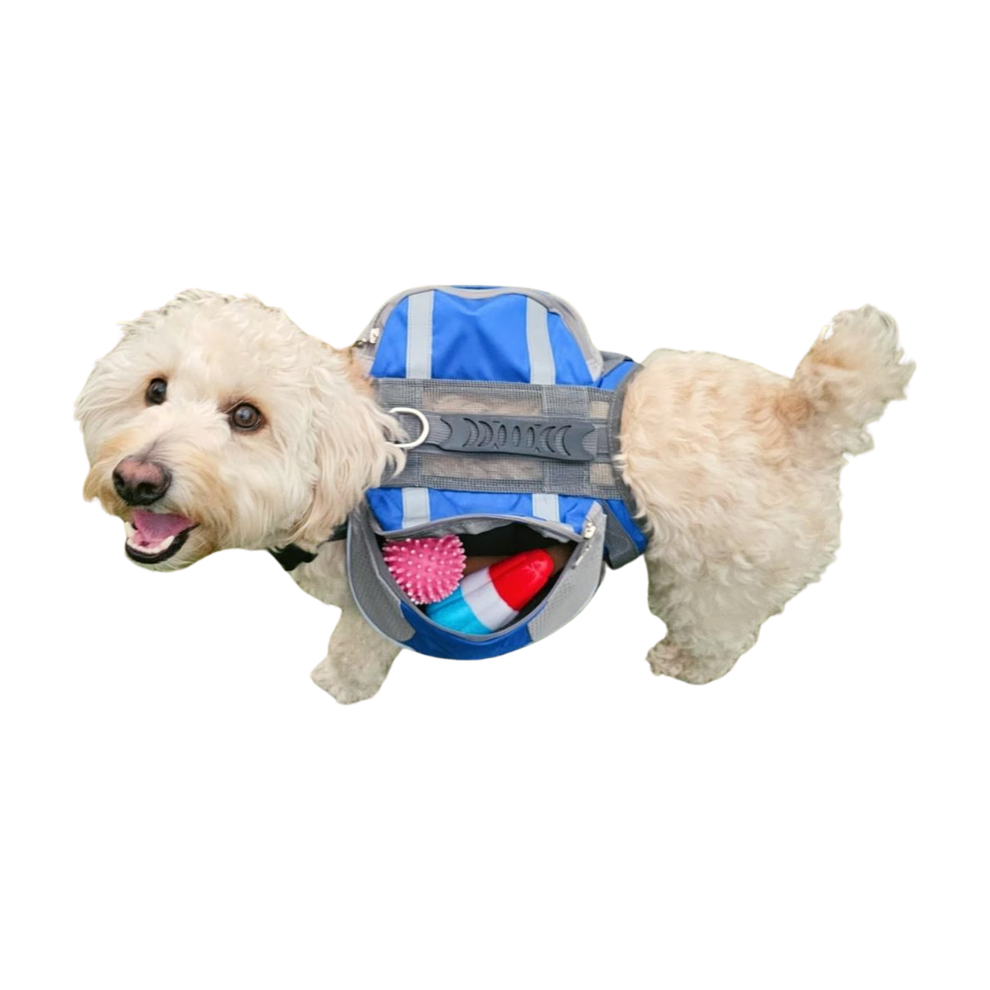 Mochila con Arnés para Perros - Azul, Ideal para Trekking y Aventuras al Aire Libre 6