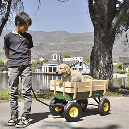 Carro De Arrastre Verde Kidscool