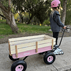 Combo Carro De Arrastre Wagon Rosado + Triciclo Mini Bike Rosado