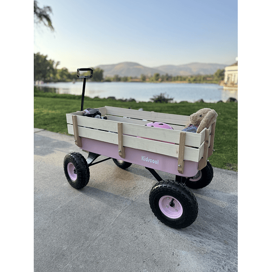 Combo Carro De Arrastre Wagon Rosado + Triciclo Mini Bike Rosado