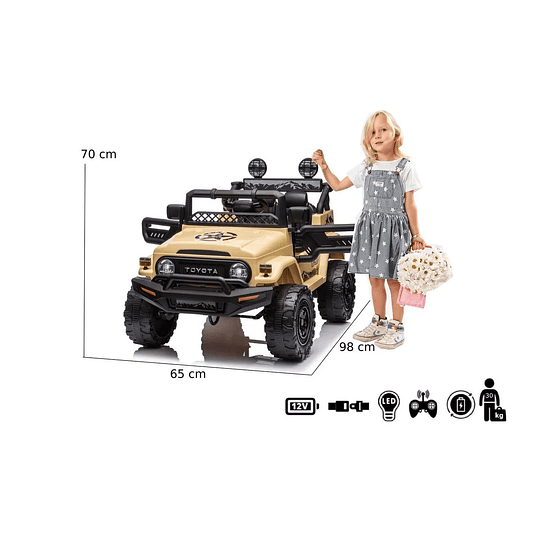 Entrega Express - Jeep Arena Toyota Fj Crusier 12V 