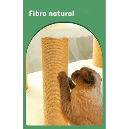 Rascador Cama Blanco Para Gato