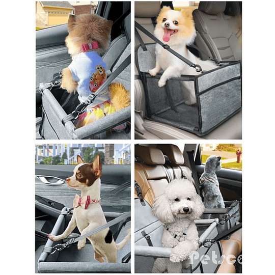 Silla De Auto Gris Para Mascota