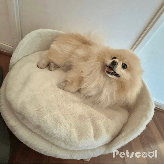 Cama Premiun Beige Para Mascotas