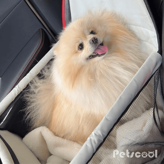 Cama Premiun Beige Para Mascotas