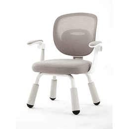 Silla Escritorio Ergonomica Infantil Gris - Preventa 16 de Marzo