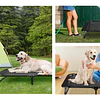 Cama Elevada para Perro PetsCool Talla M Plegable 30 KG Negra 