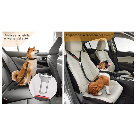 Cinturón de Seguridad Perro Multi Tamaño Petscool Elástico Reflectante 4 en 1