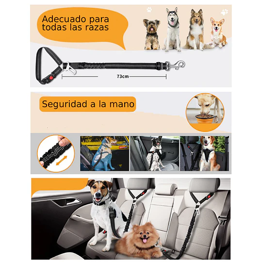 Cinturón de Seguridad Perro Multi Tamaño Petscool Elástico Reflectante 4 en 1