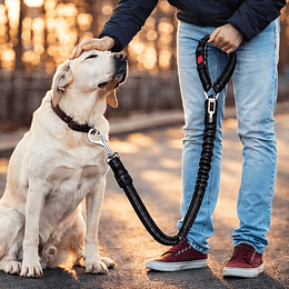 Cinturón de Seguridad Perro Multi Tamaño Petscool Elástico Reflectante 4 en 1