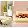 Sofa Impermeable para Mascotas Beige