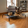 Cama Elevada Perros Grandes PetsCool Talla L Soporta 40kg