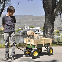 Retiro Express - Carro de Arrastre Wagon Verde Kidscool