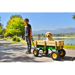 Retiro Express - Carro de Arrastre Wagon Verde Kidscool