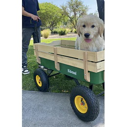 Retiro Express - Carro de Arrastre Wagon Verde Kidscool