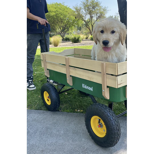 Retiro Express - Carro de Arrastre Wagon Verde Kidscool