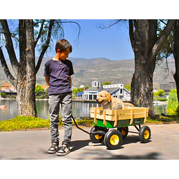 Retiro Express - Carro de Arrastre Wagon Verde Kidscool