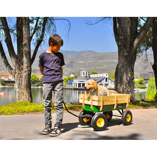 Retiro Express - Carro de Arrastre Wagon Verde Kidscool