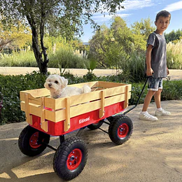 Retiro Express - Carrito de Arrastre Wagon Rojo