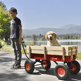 Retiro Express - Carrito de Arrastre Wagon Rojo