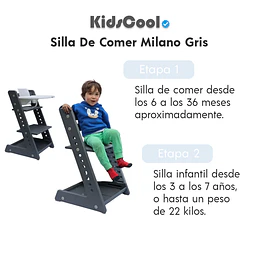 Retiro Express - Silla De Comer Milano Gris 