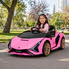 Lamborghini Sian Bateria Rosado