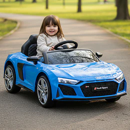 Retiro Expres - Audi R8 Spyder Bateria Azul