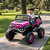 Retiro Express-Buggy Unimog Mercedes Benz Rosado