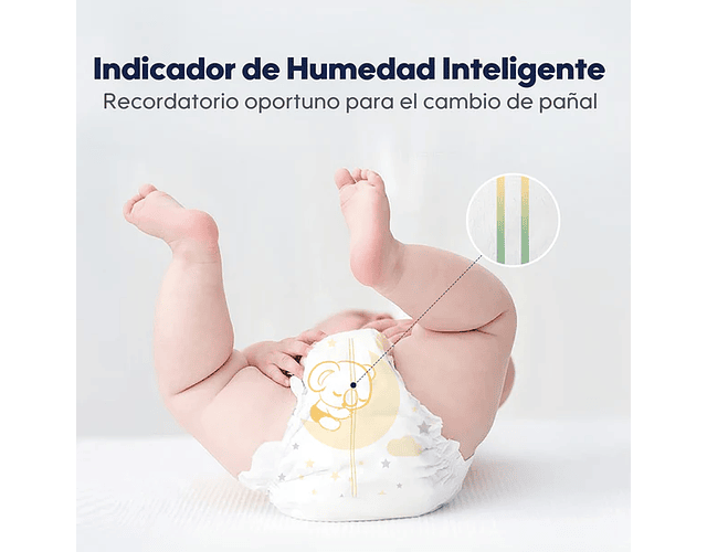 Paquete Pañal para Bebés Premium Dulce Sueños M