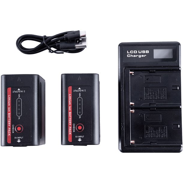 2x Baterías IndiPro Tools NP-F980 6600mAh y cargador doble 1