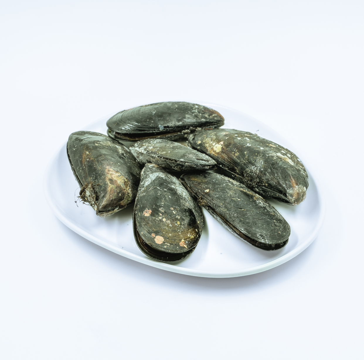 CHORO MALTON 1 KG