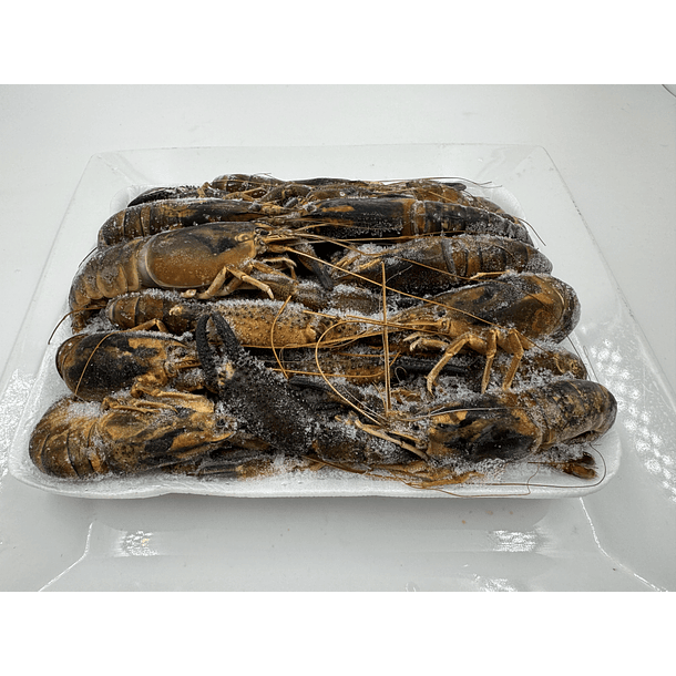 CAMARONES DE RÍO 1 KG