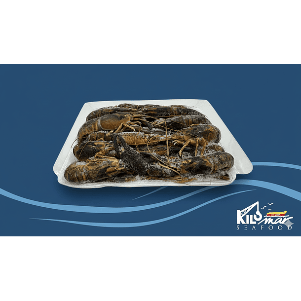 CAMARONES DE RÍO 1 KG