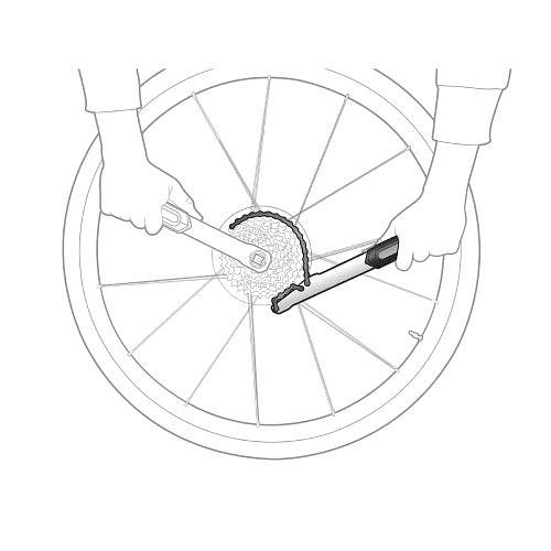 Extractor De Piñon Con Cadena, Topeak