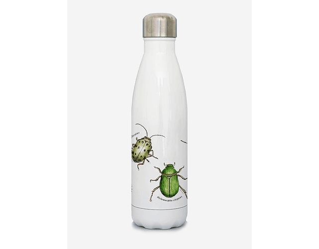 Botella Térmica – Insectos