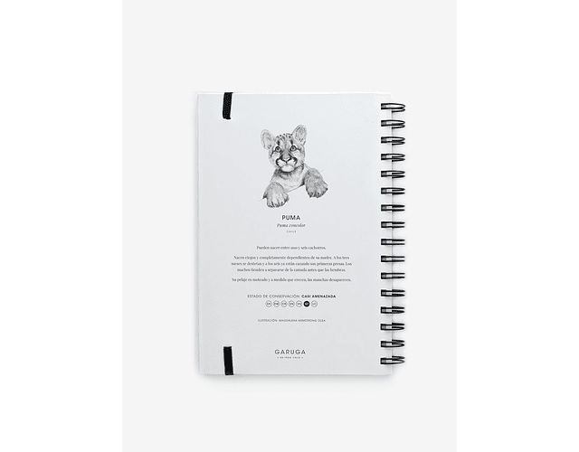 Cuaderno Garuga Puma Cachorro