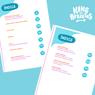 GUÍA CLÍNICA PARA INTERNOS DE KINESIOLOGÍA TAMAÑO MEDIA CARTA