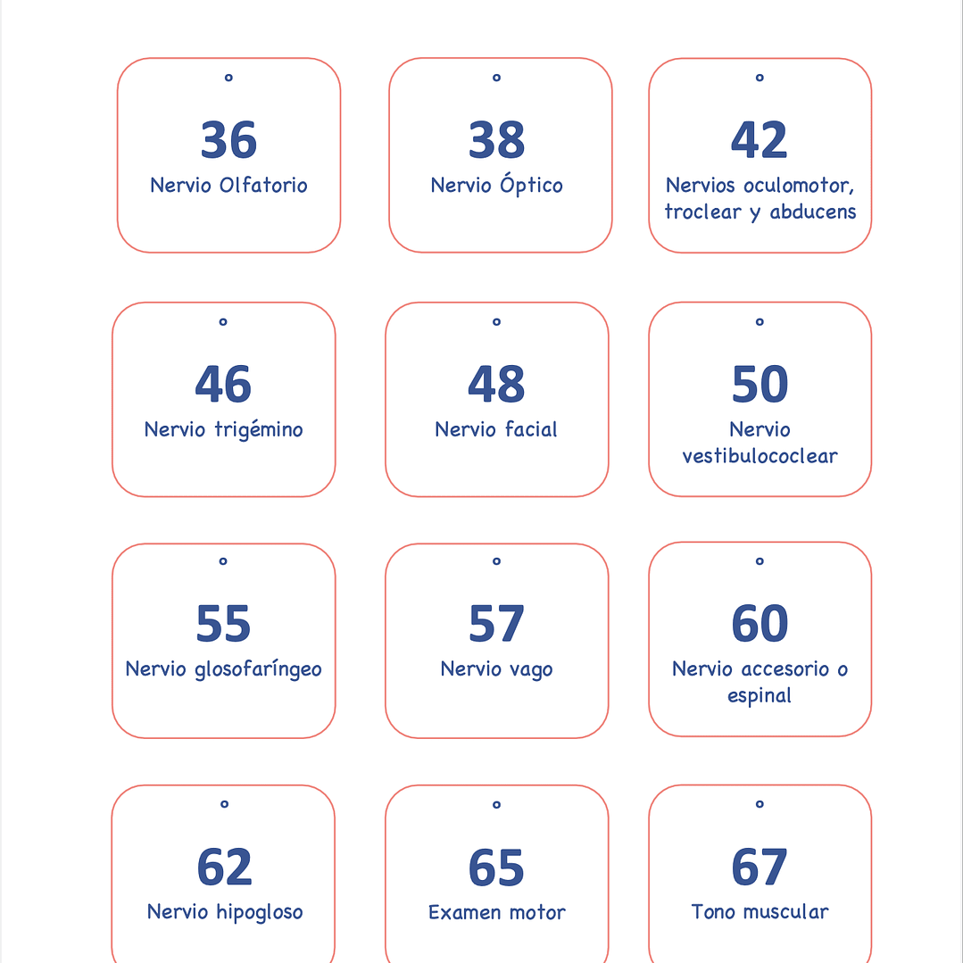 LIBRETA EVALUACIÓN Y EXAMEN NEUROLÓGICO BOLSILLO 3