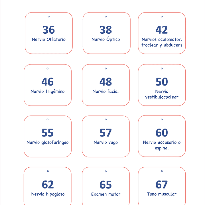 LIBRETA EVALUACIÓN Y EXAMEN NEUROLÓGICO BOLSILLO 3