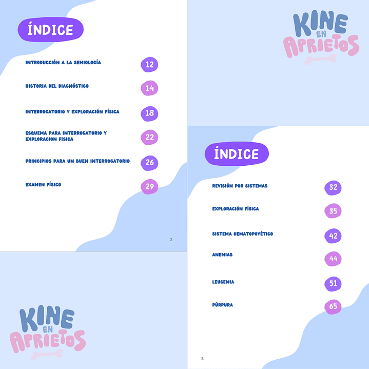 LIBRETA SEMIOLOGIA DE SISTEMAS MEDIA CARTA (MORADA) 2