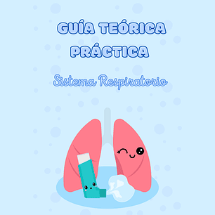GUÍA TEÓRICA - PRÁCTICA DEL SISTEMA RESPIRATORIO