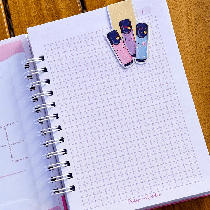 MARCAPAGINAS MAGNETICO DESTACADORES 1